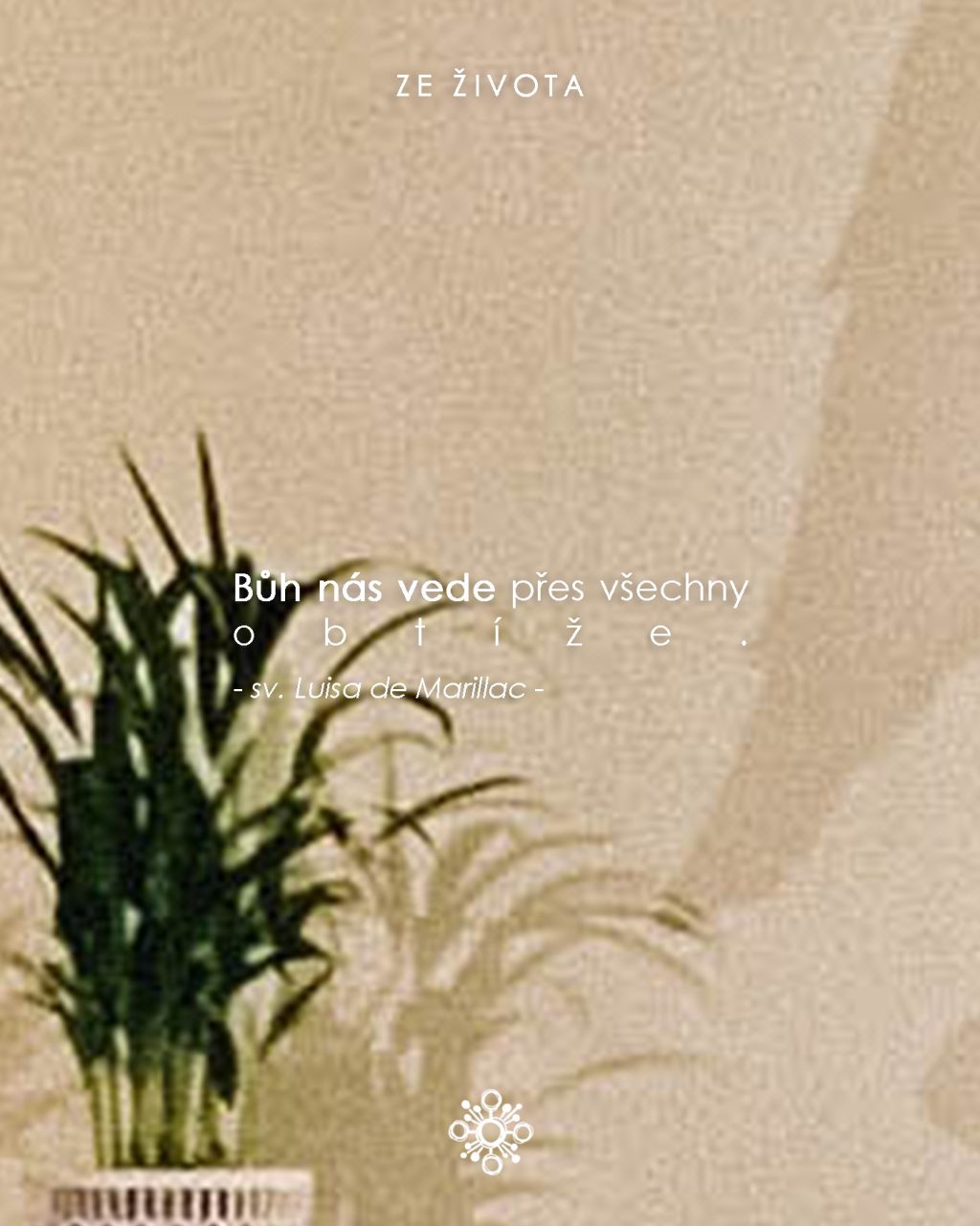 Instagram post from vincentky.km. This post is in position 2.