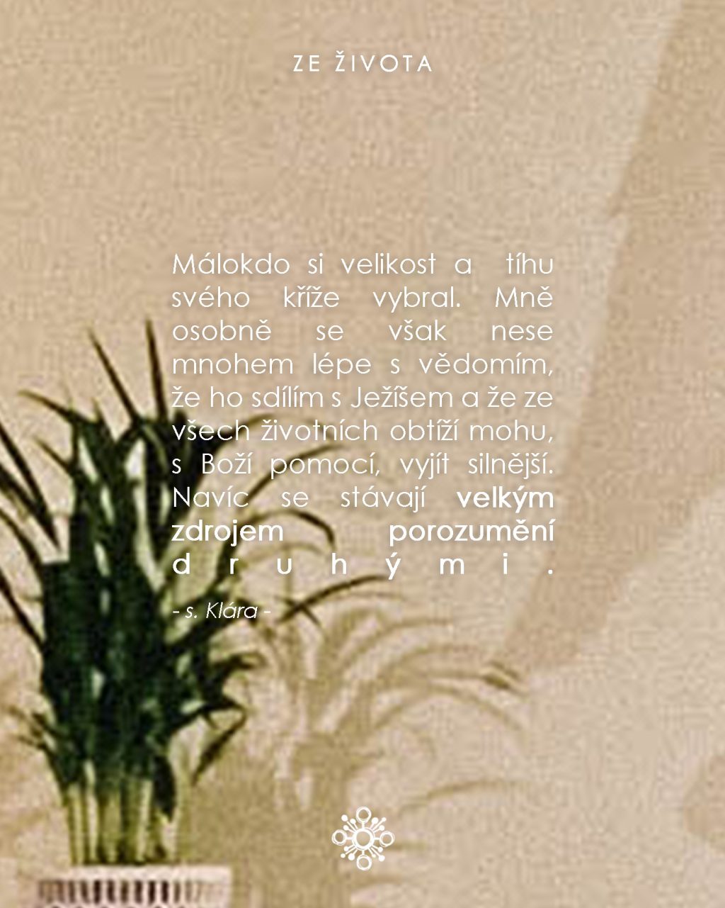 Instagram post from vincentky.km. This post is in position 3.