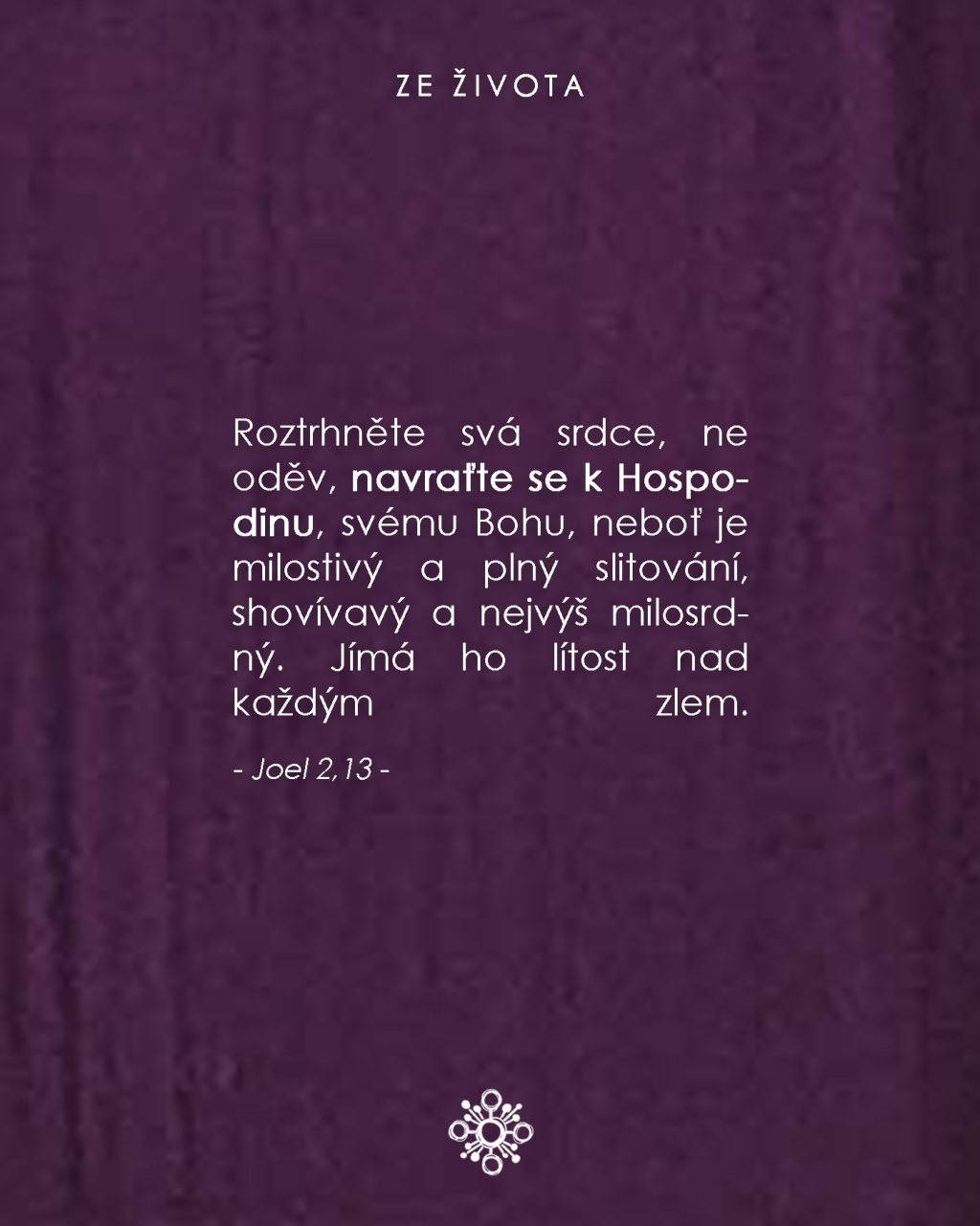 Instagram post from vincentky.km. This post is in position 1.