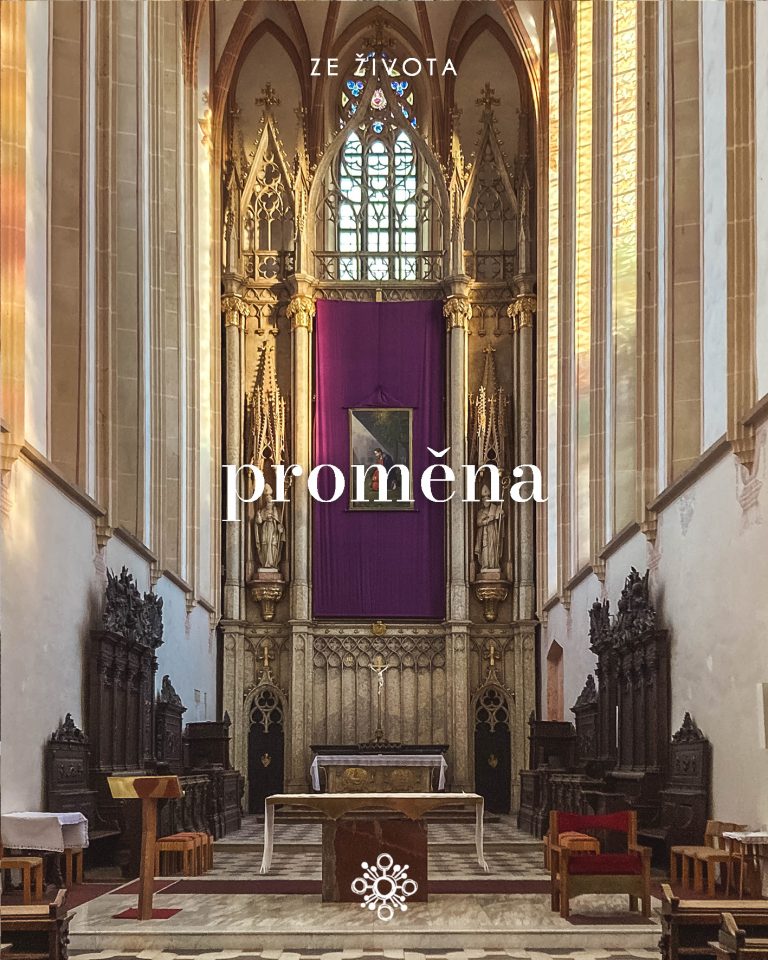 Instagram post from vincentky.km. This post is in position 1.