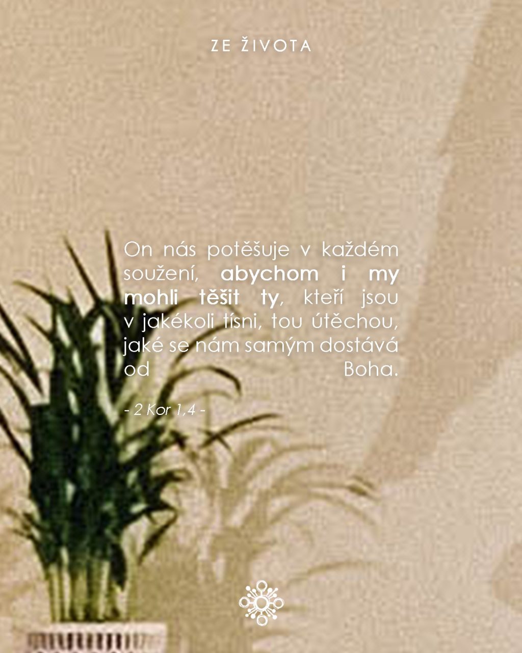 Instagram post from vincentky.km. This post is in position 1.